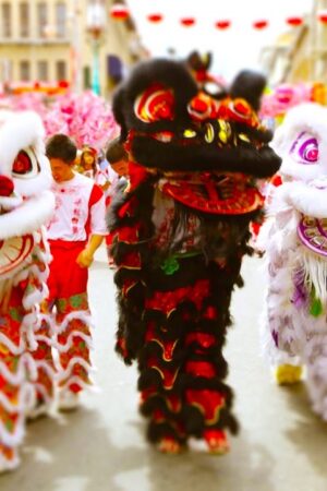 Cung cấp lân sư rồng